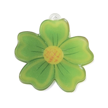 Printed Acrylic Pendants AC-CBADA31-07-1