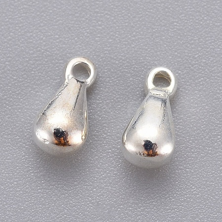 304 Stainless Steel Charms LS-STAS-G029-1S-1