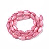 Natural Freshwater Shell Beads SHEL-R047-02D-2