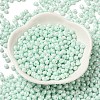 6/0 Glass Seed Beads X1-SEED-M012-01A-07-2