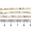 Natural Freshwater Shell Beads Strands X-BSHE-H109-13A-5