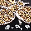 Rhinestones Sew on/Iron on Patches DIY-FG0001-38-4