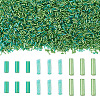 Transparent Bugle Beads Kits SEED-TA0001-57-1