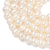 Natural Cultured Freshwater Pearl Beads Strands PEAR-L034-11B-3