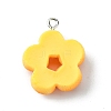 Opaque Resin Imitation Food Pendants RESI-R436-04C-2