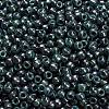 TOHO 6/0 Round Beads X-SEED-TR06-1207-3