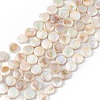 Electroplated Natural Freshwater Shell Beads Strands SHEL-K001-002-1