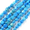 Synthesic Turquoise Beads Strands G-P497-01C-55-1