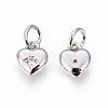 Brass Micro Pave Cubic Zirconia Charms ZIRC-F095-04P-2