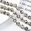 Natural Dalmatian Jasper Beads Strands X-G-N326-100-02-4