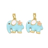 Brass Enamel Pendants KK-T001-04G-C-1