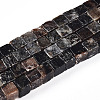 Natural Biotite Beads Strands G-T140-39A-4