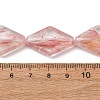 Transparent Handmade Lampwork Beads LA-CBAF0C8-02E-3
