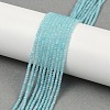 Natural Amazonite Beads Strands G-P553-F07-01-1