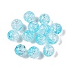 Transparent Crackle Acrylic Beads CACR-N002-22B-1