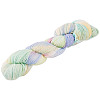 1 Skein Gradient Segment Dyed 80% Wool 20% Acrylic Blended Yarn OCOR-TA0003-02D-2