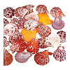25Pcs Natural Shell Pendants PALLOY-PH01859-6
