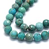 Natural HuBei Turquoise Beads Strands G-G106-C12-07-3