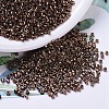 MIYUKI Delica Beads SEED-MY11-DB0460-1