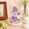 Arch Glass Dome Cover AJEW-WH0596-866D-02-4