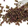 TOHO 6/0 Round Beads X-SEED-TR06-0514-1