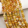 Handmade Lampwork Beads Strand LAMP-B056-8mm-08-1