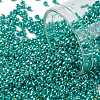 TOHO Round Seed Beads SEED-TR11-PF0569-1