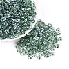 Transparent Colours Glass Seed Beads SEED-Q042-01A-A10-1