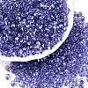 Baking Paint Transparent Glass Seed Beads SEED-N006-05H-1