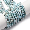 Natural Larimar Beads Strands G-F803-C01-03-2