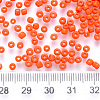 8/0 Baking Paint Glass Round Seed Beads LS-SEED-C029-B-01-2