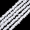 Opaque Glass Beads Strands GLAA-N019-3mm-02-2