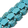 Synthetic Turquoise Beads Strands TURQ-G119-20x29mm-08-1