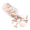 Natural Scallop Shell Beads SSHEL-CJ0001-02-1