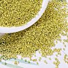 MIYUKI Delica Beads SEED-X0054-DB0424-1