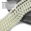 Eco-Friendly  Dyed Glass Pearl Round Beads Strands HY-A002-8mm-RB011-3