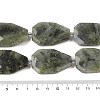 Natural Labradorite Beads Strands G-P548-B14-01-4