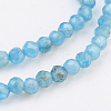 Natural Apatite Beads Strands G-F568-077-4mm-3