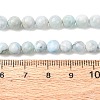 Natural Larimar Beads Strands G-B156-A01-6mm-01-3