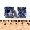 Natural Blue Spot Jasper European Beads G-N345-07A-05-3