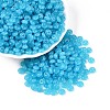 Opaque Colours Glass Seed Beads SEED-N007-39A-01-1