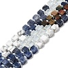 Opalite & Synthetic Turquoise & Natural Dyed White Jade & Howlite & Shoushan Stone & Sodalite Beads Strands G-H333-03E-2