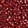 Silver Lined Glass Seed Beads SEED-T007-18A-14-3