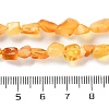 Natural Amber Beads Strands G-P497-01C-04-5