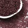 8/0 Frosted Round Glass Seed Beads X-SEED-A008-3mm-M16-1