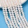 Natural Cultured Freshwater Pearl Beads Strands PA-CBABE82-15B-1
