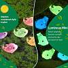 70Pcs 7 Colors Luminous Resin Home Display Decorations RESI-SZ0003-31-3