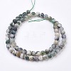 Natural Tree Agate Bead Strands G-J376-11F-6mm-2