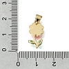 Brass Enamel Pendants KK-K427-10A-G-3