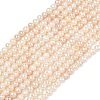 Natural Cultured Freshwater Pearl Beads Strands PEAR-L034-06B-2
